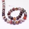 Natural Botswana Agate Beads Strands G-P132-05-10mm-2