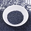 MIYUKI Delica Beads SEED-MY11-DB0301-2
