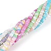 10 Strands 10 Colors Natural Trochid Shell/Trochus Shell Beads Strands SSHEL-N040-21-2