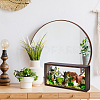 Rectangle Double Sided Clear Acrylic with Wood Display Cases ODIS-WH0038-237A-5