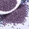 MIYUKI Delica Beads SEED-MY11-DB1173-1