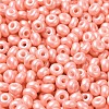 Baking Paint Luster Glass Seed Beads X1-SEED-B001-04A-08-3