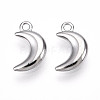 304 Stainless Steel Charms STAS-N109-138P-1