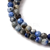 Natural Lapis Lazuli Beads Strands LS-G-L629-B01-2mm-03-4