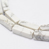 Natural Howlite Beads Strands X-G-E342-15-3