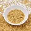 MIYUKI Delica Beads X-SEED-J020-DB2186-2
