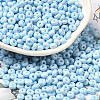 Baking Paint Glass Seed Beads SEED-B001-02A-08-1