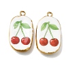 Fruit & Floral & Animals Printed Handmade Porcelain Pendants STAS-Z207-01G-09-1
