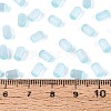Drawbench Style Glass Seed Beads SEED-N008-10F-4