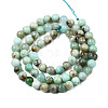 Natural Chrysoprase Beads Strands G-S333-6mm-016-2