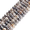 Electroplated Natural Botswana Agate Round Beads Strands G-L598-A03-02-2