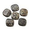 Natural Dalmatian Jasper Beads G-B050-04A-1