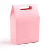 Rectangle Paper Bags with Handle and Clear Rectangle Shape Display Window CON-D006-01B-04-2