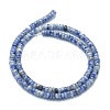 Natural Blue Spot Jasper Beads Strands G-F631-A17-2
