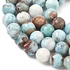 Natural Larimar Beads Strands G-C264-A01-10mm-4