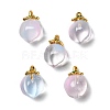 Glass Pendants GLAA-P072-05G-08-1