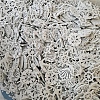 Ocean Theme Wood Cutouts PW-WG7F1F2-01-3