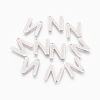 304 Stainless Steel Charms STAS-F175-02P-N-2