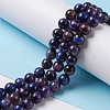 Natural Galaxy Tiger Eye Beads Strands G-P455-01D-2