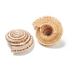 Natural Shell Beads BSHE-H015-01-2
