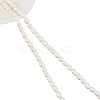  2 Strands 2 Styles Natural Cultured Freshwater Pearl Beads Strands PEAR-NB0002-07-7