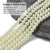Eco-Friendly Dyed Glass Pearl Round Beads Strands HY-A008-6mm-RB011-4