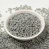MIYUKI Round Rocailles Beads X-SEED-G008-RR1866-2