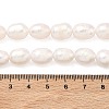Natural Cultured Freshwater Pearl Beads Strands PEAR-D003-01D-12-5