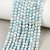 Natural Larimar Beads Strands G-B175-D08-4mm-1