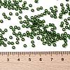 MIYUKI Round Rocailles Beads SEED-G008-RR0158-4