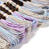 10 Skeins 6-Ply Polyester Embroidery Floss OCOR-K006-A01-2