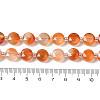 Natural Flower Agate Bead Strands G-NH0013-A01-01-5