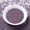 MIYUKI Delica Beads SEED-J020-DB1066-2