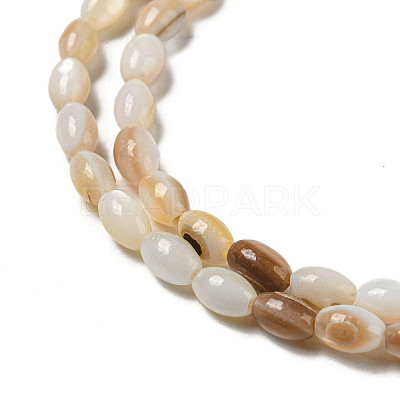 Natural Freshwater Shell Beads Strands SHEL-H072-03-1