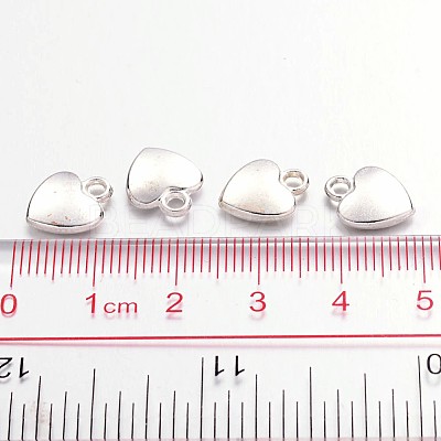 Tibetan Style Alloy Charms LS-K08QL022-1