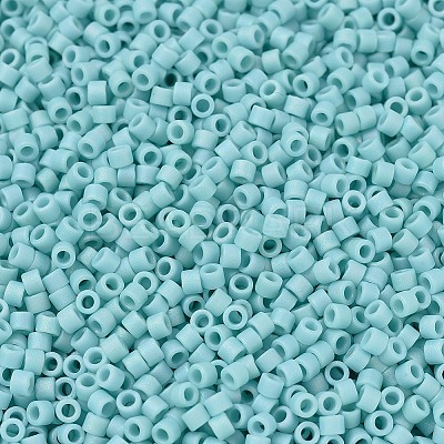 MIYUKI Delica Beads X-SEED-J020-DB1595-1