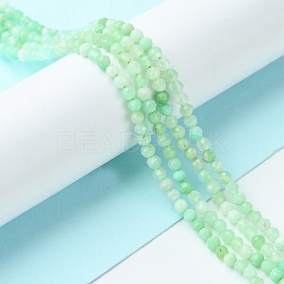 Natural Chrysoprase Beads Strands G-F748-X01-02A-1