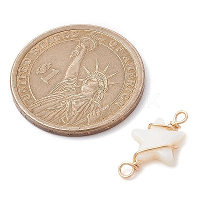 2Pcs 2 Styles Natural Freshwater Shell Copper Wire Wrapped Connector Charms PALLOY-JF02439-1