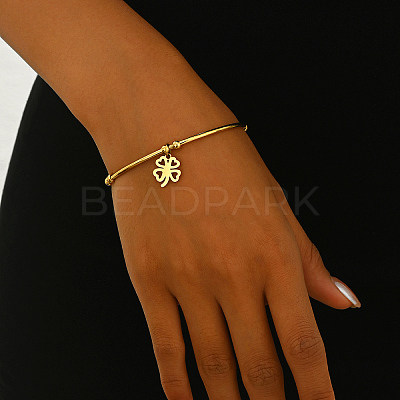 Stainless Steel Charm Bangles DX7193-1