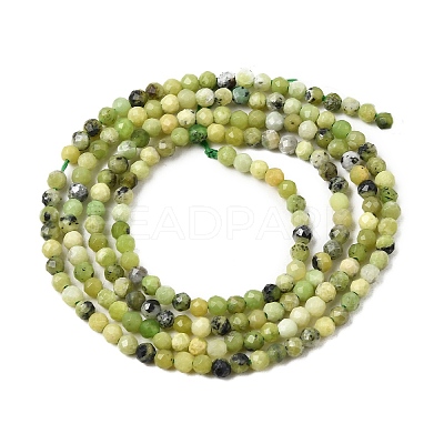 Natural Serpentine Beads Strands G-P603-C-2mm-06-1