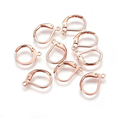 304 Stainless Steel Leverback Earring Findings X-STAS-E460-03RG-1