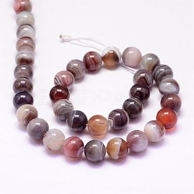 Natural Botswana Agate Beads Strands G-P132-05-10mm-1