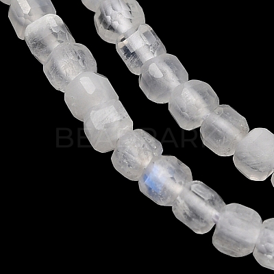 Natural Rainbow Moonstone Beads Strands G-I353-04-1