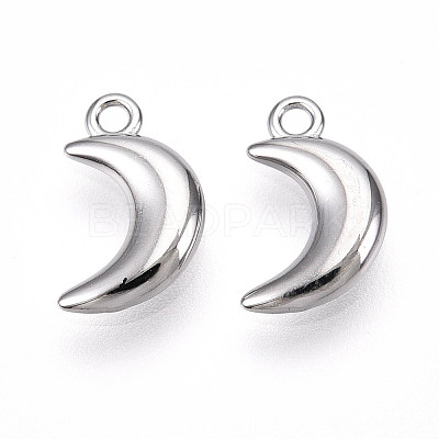 304 Stainless Steel Charms STAS-N109-138P-1