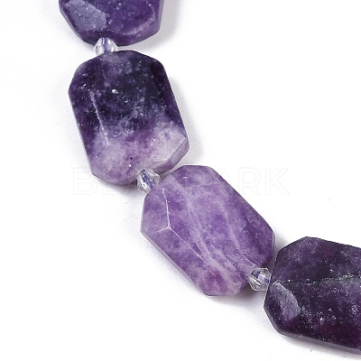 Natural Lepidolite Beads Strands G-B125-P25-01-1