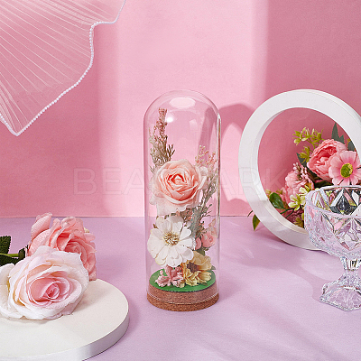 Glass Bell Jars AJEW-BC0010-64B-1