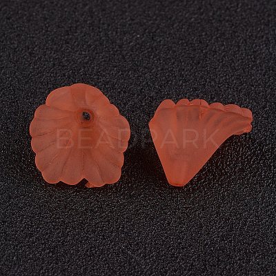 Transparent Acrylic Beads LS-PL622-C12-1