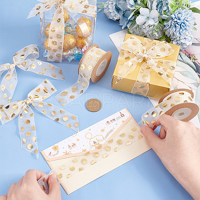 2 Rolls 2 Styles Printed Organza Ribbons SRIB-PH0001-29-1