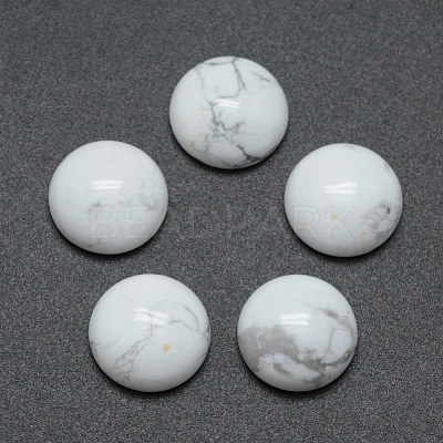 Natural Howlite Cabochons G-P393-R32-12mm-1