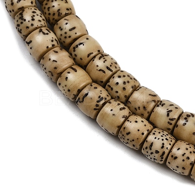 Natural Rudraksha Bodhi Seed Beads Strand WOOD-B010-A03-5x6mm-1